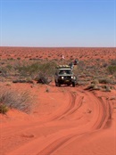 In the Simpson Desert