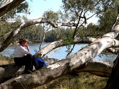 Beside The Murray River