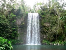 Milla Milla Falls, North Qld