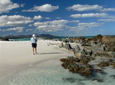 Beachcombing, WA