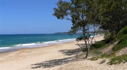 East coast scene