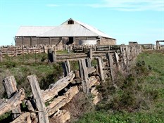 Woolshed