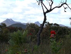 Stirling Ranges, WA