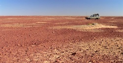 Gibber plains