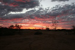Shepherd's warning!