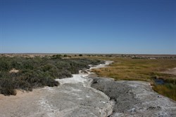 Mound Spring