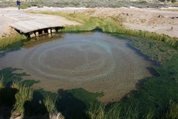 Bubbler Mound Spring
