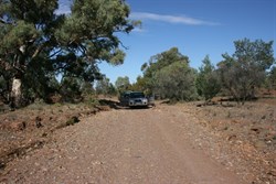Gum Gorge