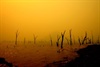 the dust storm lake nuga nuga 2009