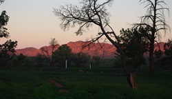 view from the campsite south of Wilpena Pound