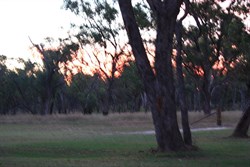 a slightly blured sunset at Dargonelly Rock Hole Camping Area