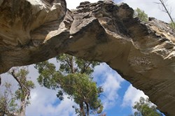 taken from directly under the arch