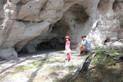 Protected areas where the Art is found