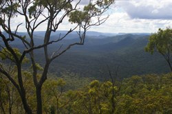 The View from the Top Shelter