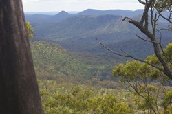 The View from the Top Shelter