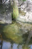 Top Moffatt River bank