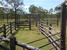 The Stockyards