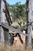 Loading Ramp next to the slab hut