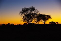 Sunset - Great Victoria Desert