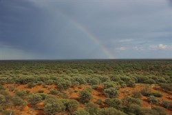 There is apot of Gold somewhere out there in the Great Victoria Desert