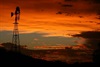 Outback Icon, the windmill