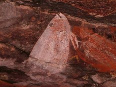 Kakadu Art NT