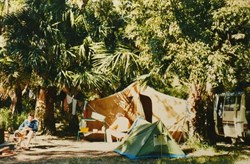 Camp at Mungo Brush, Myall Lakes