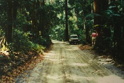 Inland track