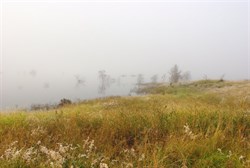 foggy morning on the lake