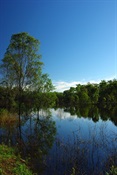 reflections on the lake, early morning walk