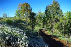 early morning walking - beautiful