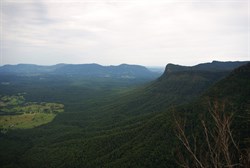 view from a lookout in the Border ranges N Pk