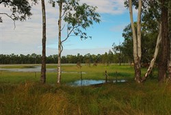 Theresa creek landscape 