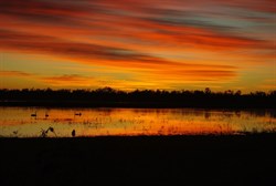 sunrise on Lake Broadwater was breathtakingly beautiful