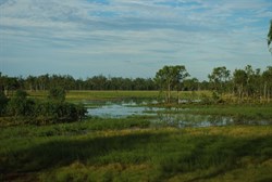 view of the lake from the bird hide