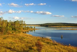 Bjelke-Petersen dam