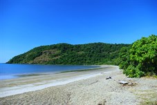 Cherry tree bay