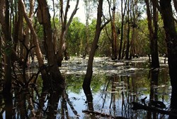Keating's Lagoon