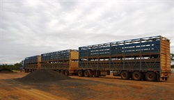 cattle roadtrain at Lynd Junction roadhouse