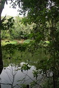 Regeneration walk between the campgrounds