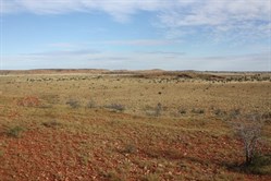 Bedford Range from small hill