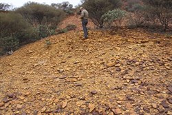 Yellow patch of rock on West Hill