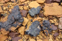Samples of rock - West Hill