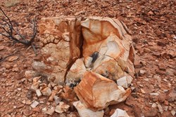 Interesting Rock - West Hill