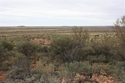 West Hill, Diorite Hill and Bedford Range from Quartz Soak Hill