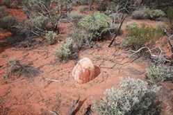 Rock Mick found