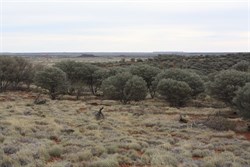 Low Hills to north