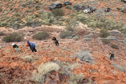 Climbing up Pinnacle