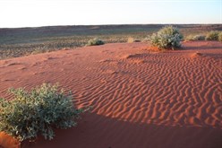Sandridge near Van Der Liden Lakes