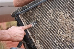 Hole in Radiator